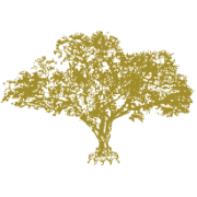 Grande Oaks Golf Club logo